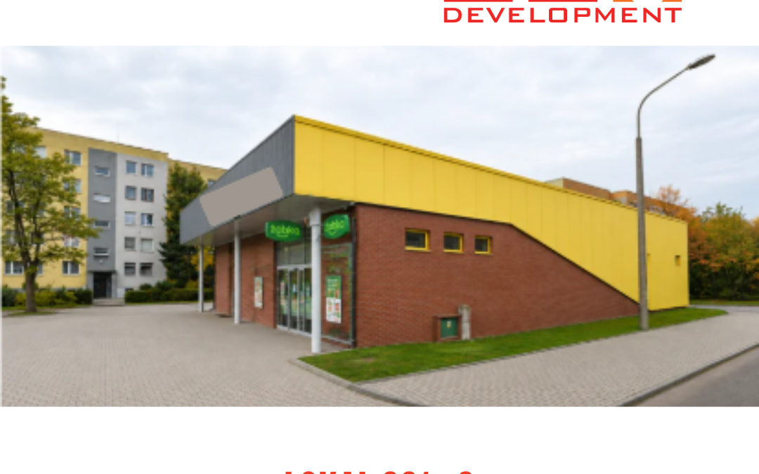 ul. Tatarkiewicza 12, Zabrze 261m2
